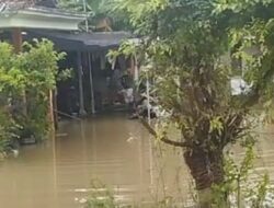 Bengawan Solo Meluap Akibatkan Sejumlah Desa di Lamongan Teredam banjir