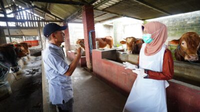 Ft : Petugas DKPP memeriksa kondisi kesehatan hewan kurban di kandang peternak.(ist.)