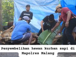 Polres Malang Salurkan Puluhan Hewan Kurban ke Masyarakat yang Berhak Menerima