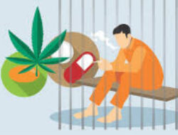 Ditjenpas Tegaskan Pemindahan Warga Binaan Upaya Zero Narkoba di Lingkungan Lapas