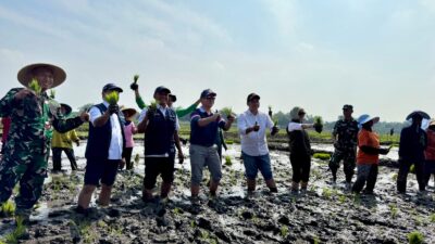 Ft : Wakil Bupati Mojokerto dan Wamen BUMN menanam padi bersama petani di Desa Bicak, Trowulan. (ist.)