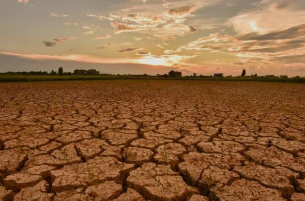 FT. Ilustrasi kekeringan.