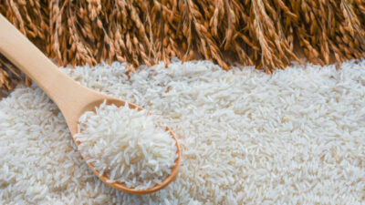 FT. Ilustrasi beras melimpah. (MemoX/istimewa)