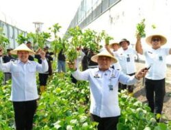 Lapas Malang Panen Kacang Kedelai Berkat Tangan Kreatif Warga Binaan