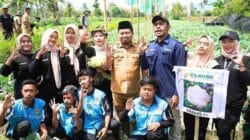 Pemkab Bondowoso Gelar Panen Perdana Brokoli Varietas KAILA di Desa Jebung Kidul