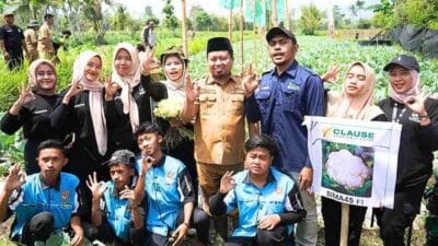 Pemkab Bondowoso Gelar Panen Perdana Brokoli Varietas KAILA di Desa Jebung Kidul