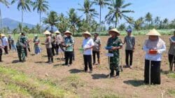 Pemkab dan Polres Bondowoso Tanam Jagung Bareng, Dukung Swasembada Pangan