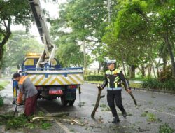 Antisipasi Kecelakaan, Polres Malang Bersama Pemkab Malang Pangkas Ranting Pohon di Jl. Jalibar