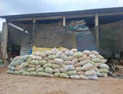 Inovatif, Warga Desa Tanah Wulan Sulap Limbah Kulit Kopi Jadi Bernilai Tinggi