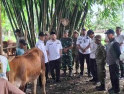 Pemkab Bondowoso Gelar Pengobatan Massal, Targetkan 600 Ekor Ternak Selesai 2025