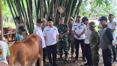 Pemkab Bondowoso Gelar Pengobatan Massal, Targetkan 600 Ekor Ternak Selesai 2025