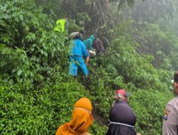 Laka Tunggal Mobil di Jalur Bromo, Tewaskan 2 Penumpangnya