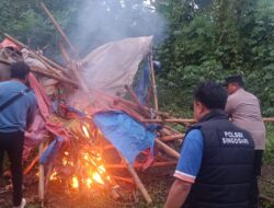 Kembali Polres Malang Musnahkan Arena Sabung Ayam di Singosari