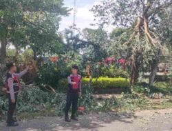 Patroli Samapta Polres Bondowoso Gercep Tangani Pohon Tumbang