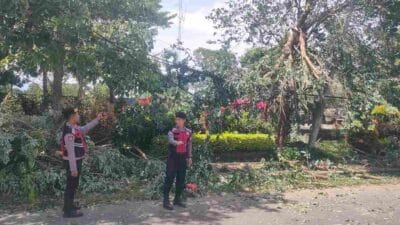 Patroli Samapta Polres Bondowoso Gercep Tangani Pohon Tumbang