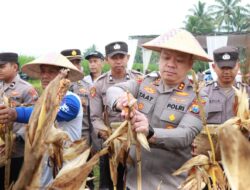 Dukung Stok Pangan, Polres Malang Panen 8 Ton Jagung