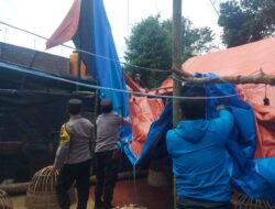 Untuk Sekian Kalinya Arena Sabung Ayam di Bongkar Polres Malang Tanpa Satu pun Tersangka Diamankan