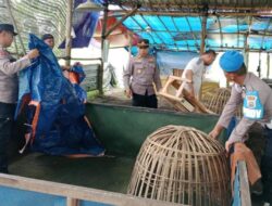 Judi Sabung Ayam di Bulan Ramadhan Marak di Kab Malang