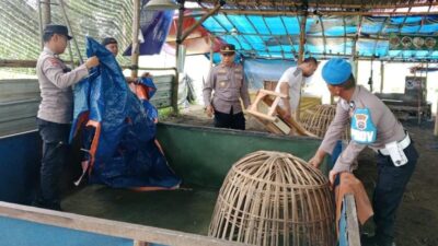 Judi Sabung Ayam di Bulan Ramadhan Marak di Kab Malang