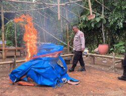 Kembali Polres Malang Bakar Sarana Judi Sabung Ayam di Gedangan