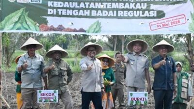 Petani Bondowoso Tolak Regulasi Pembatasan Nikotin dan Tar, Minta Perlindungan Tembakau Lokal