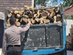 Polisi Bongkar Pembalakan Hutan di Perum Perhutani Malang Selatan