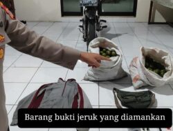 Dua Pencuri Jeruk Diamankan Polres Malang, Satu Pelaku Residivis