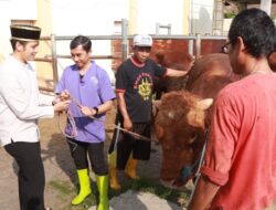 Usai Solat Idul Adha Polres Malang Salurkan 22 Ekor Sapi dan 73 Ekor Kambing Kurban ke Warga Hingga Ponpes