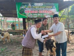 PG Tjoekir Salurkan Hewan Kurban ke Masjid dan Musholla Jelang Musim Giling