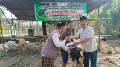 PG Tjoekir Salurkan Hewan Kurban ke Masjid dan Musholla Jelang Musim Giling