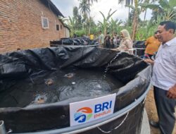 Tingkatkan Produktivitas Budidaya Ikan Lele, BRI Branch Office Kepanjen Bantu 10 Kolam Bioflok ke Pokmas Barokah