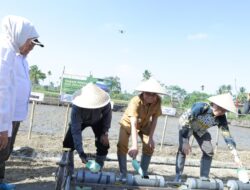Bupati Bondowoso Pacu Pertanian Organik Berbasis Teknologi, Target Jadi Daerah Percontohan Nasional