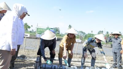 Bupati Bondowoso Pacu Pertanian Organik Berbasis Teknologi, Target Jadi Daerah Percontohan Nasional