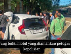 Hendak Jual Mobil Hasil Curian Pria di Kab Malang Ditangkap Polisi