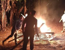 Kembali Polisi Bakar Arena Sabung Ayam di Wilayah Singosari Kab Malang
