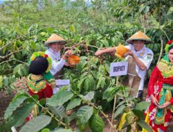 Tegaskan BRK Reborn, Bupati Bondowoso Dorong Penataan Kopi dari Hulu hingga Hilir