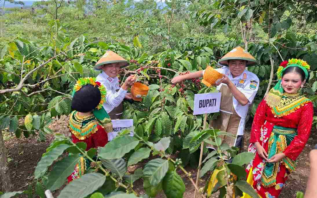 Tegaskan BRK Reborn, Bupati Dorong Penataan Kopi dari Hulu hingga Hilir