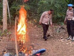 Tindak lanjut Laporan Masyarakat, Polisi Bakar Sisa Lokasi Sabung Ayam di Pakisaji Malang