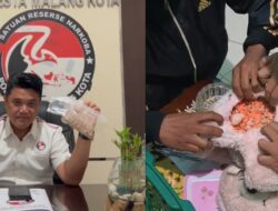 Tepat di HUT ke-81 RI, Sat Resnarkoba Polresta Malang Kota Amankan Sabu dan Ribuan Butir Ekstasi