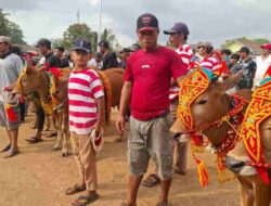 Karapan Sapi Kembali Digelar, Ribuan Warga Bondowoso Padati Lapangan Kecamatan Wringin
