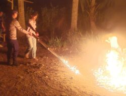 Polres Malang Musnahkan Area Sabung Ayam di Tengah Ladang Tebu