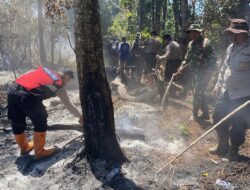 Kawasan Gunung Buthak Kota Batu Terbakar, Petugas Mengunakan Ranting Pohon untuk Memadamkan